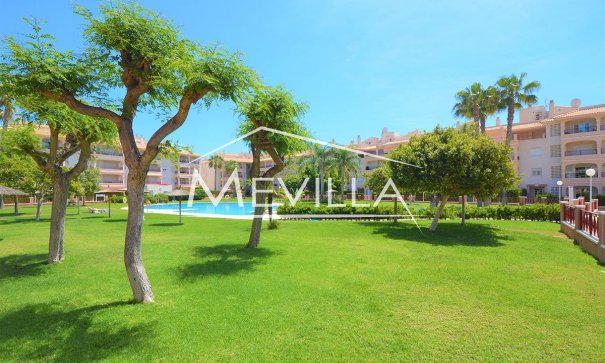 Piso / Apartamento - Reventas - Orihuela Costa - Playa Flamenca