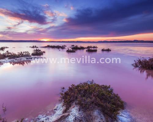 TORREVIEJA, COSTA BLANCA - COMPLETE GUIDE 